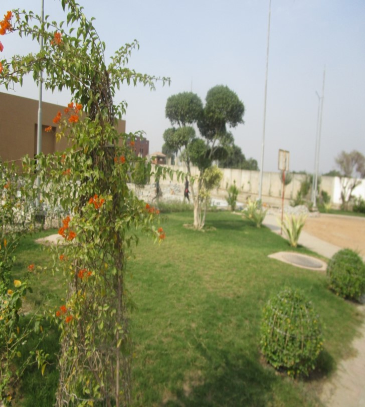 PFSA/PAFDA Wall Side